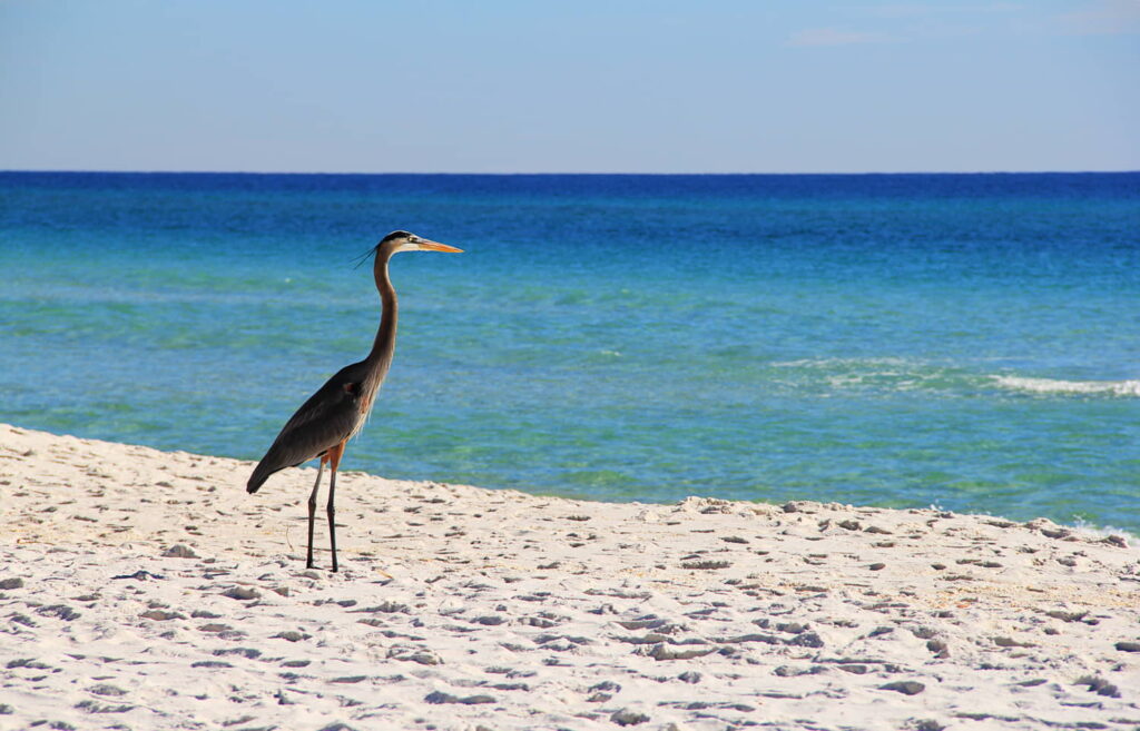 Gulf Island National Seashore (Santa-Rosa), Florida