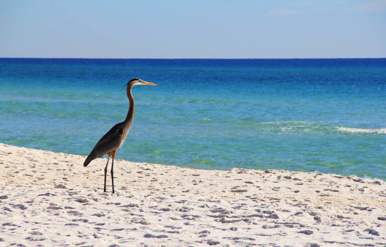 Gulf Island National Seashore (Santa-Rosa), Florida