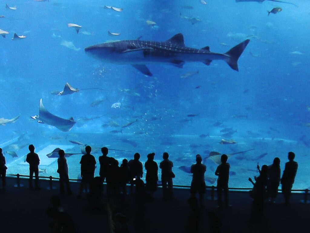 Okinawa, Japan