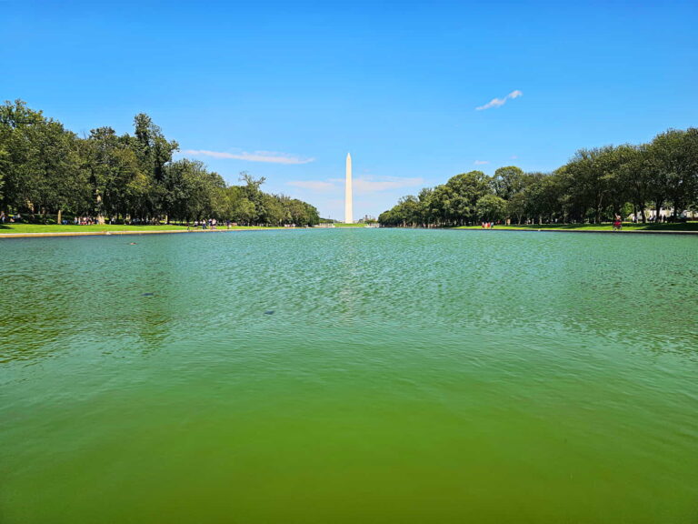 Washington DC