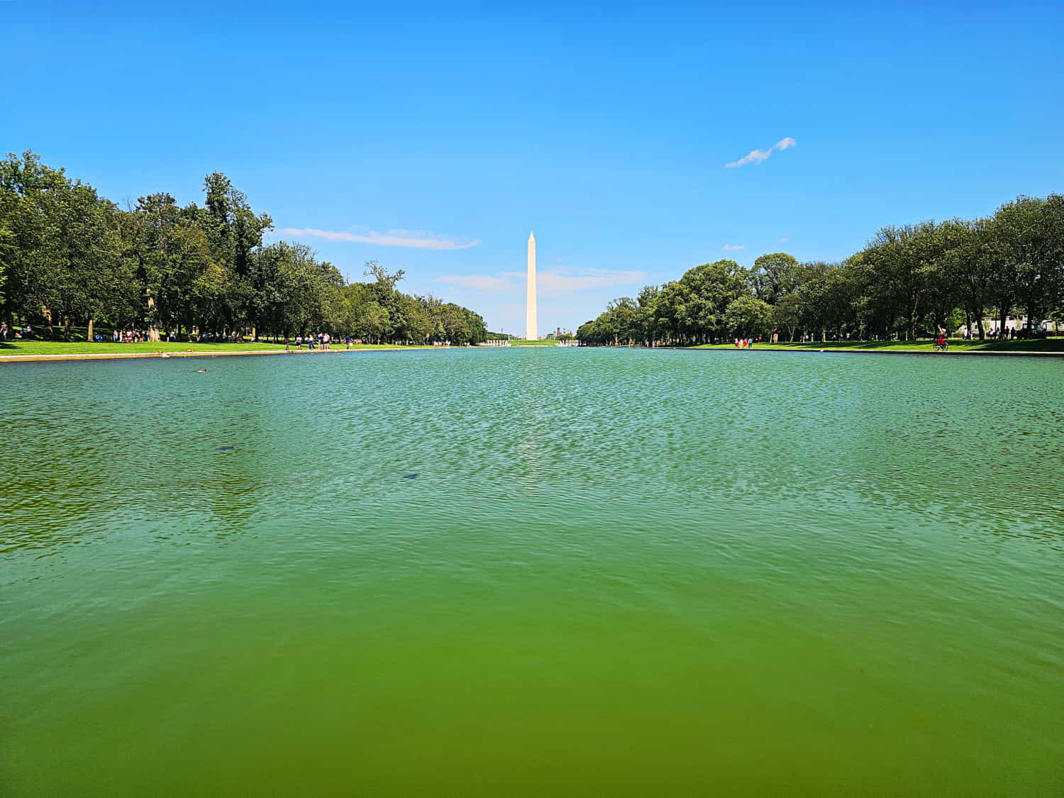 Washington DC