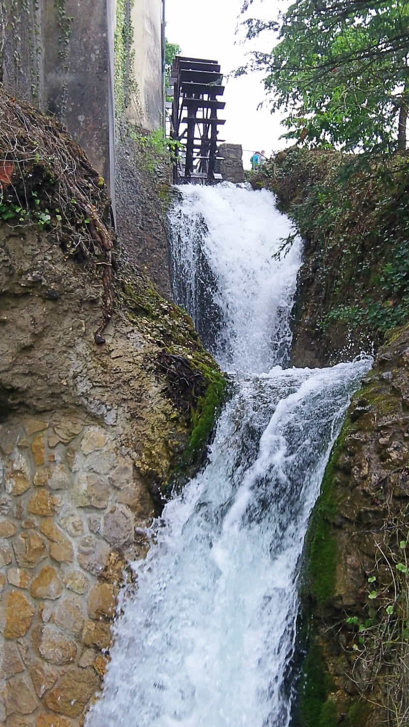 Rhine Falls, Switzerland