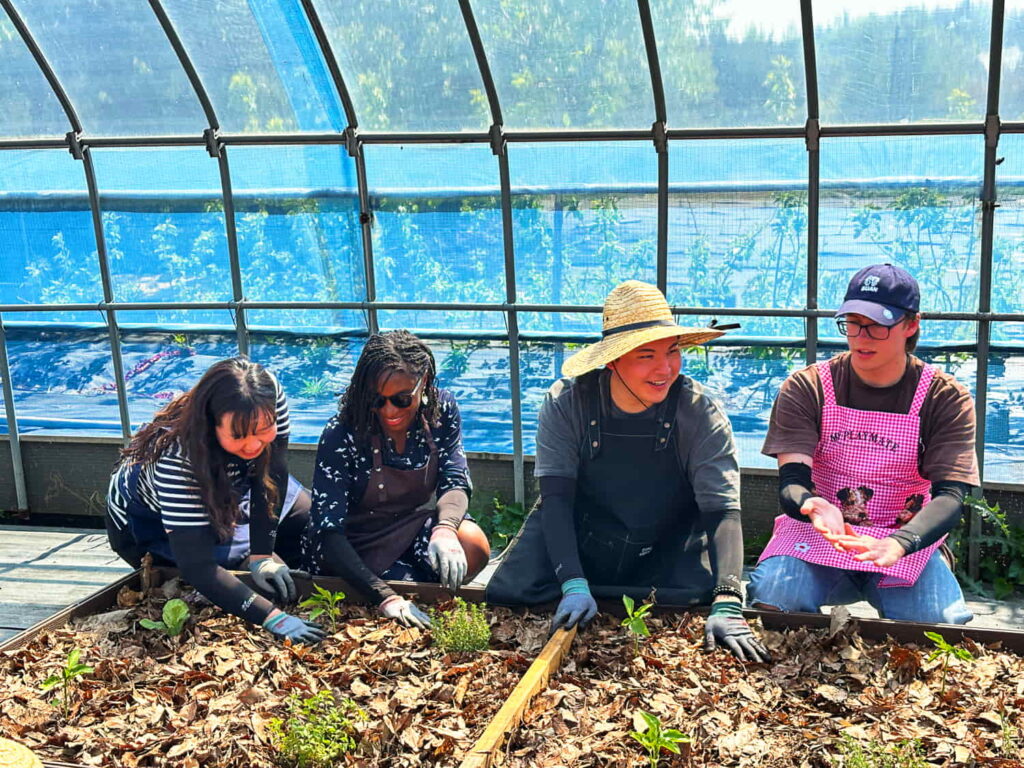 Volunteering at Ire Farms