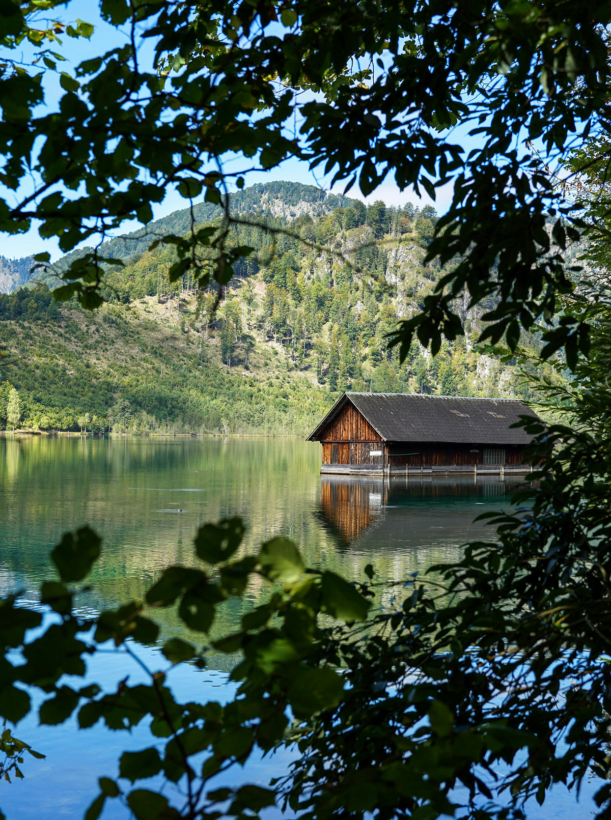 homepage-slider-03