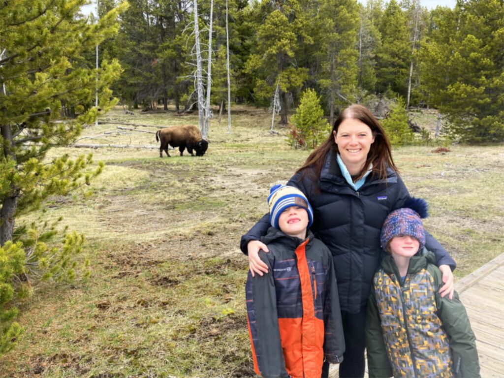Yellowstone 1 - Elk in Upper Geyser Basin - Amanda Smith