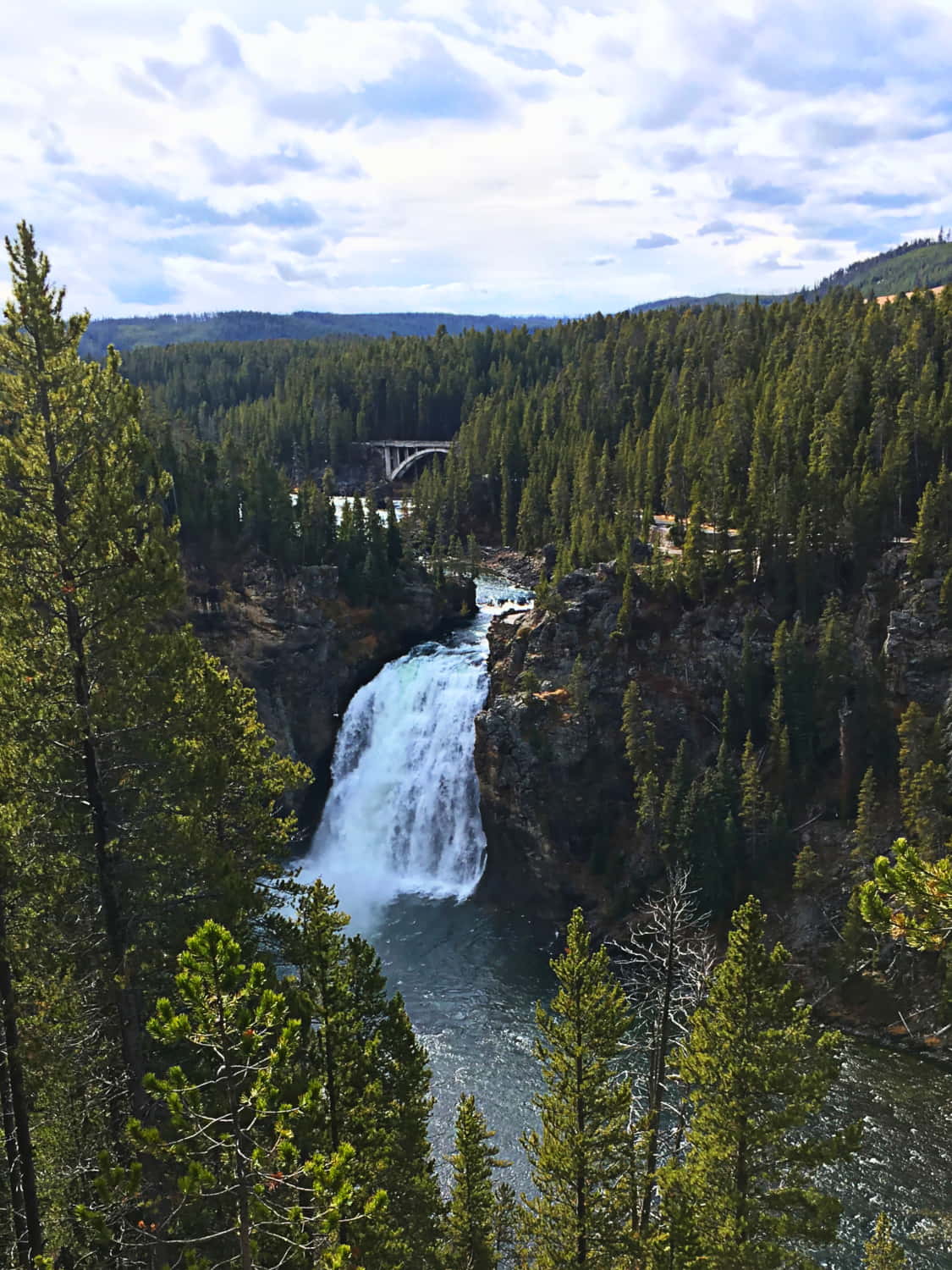 Grand Canyon of the Yellowstone Falls - Amanda Smith