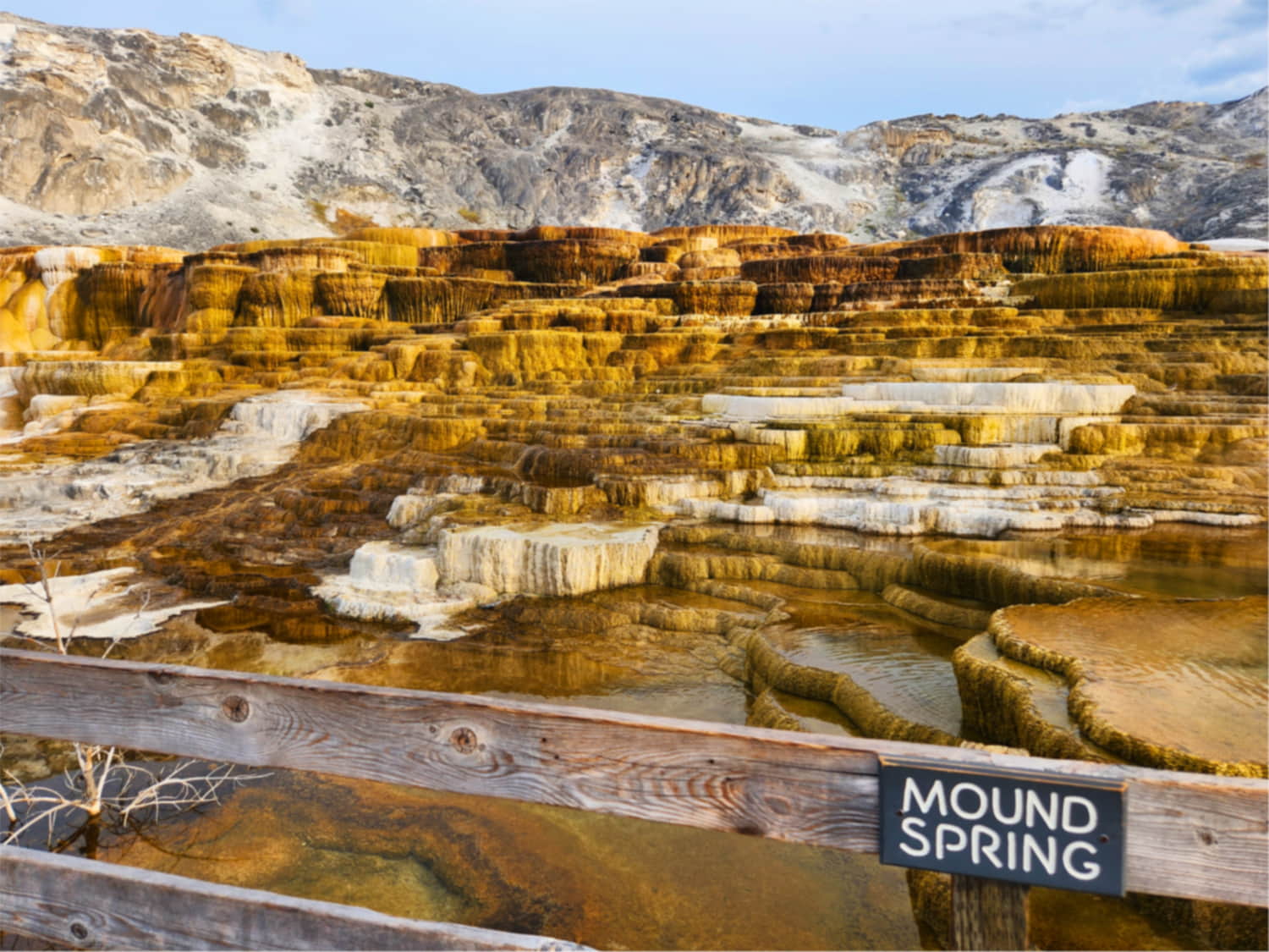 Mammoth Hot Springs - Amanda Smith