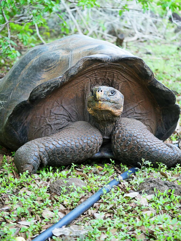San Cristobal, Ecuador